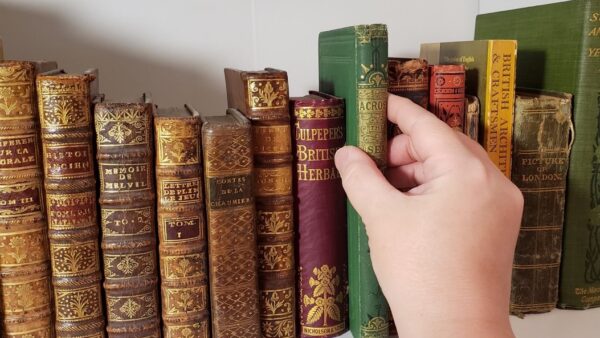 Person removing book from shelf with hand across spine.